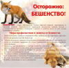 Внимание!!! В Октябрьском районе введён ограничительный режим по бешенству животных