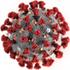 Информация о коронавирусной инфекции от Всемирной организации здравоохранения
