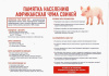 Внимание!!!Случаи африканской чумы свиней зафиксированы в Югорске