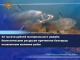 32 тысячи рублей материального ущерба биологическим ресурсам причинили белоярцы незаконным выловом рыбы