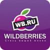 Торговая деятельность на электронной площадке Wildberries